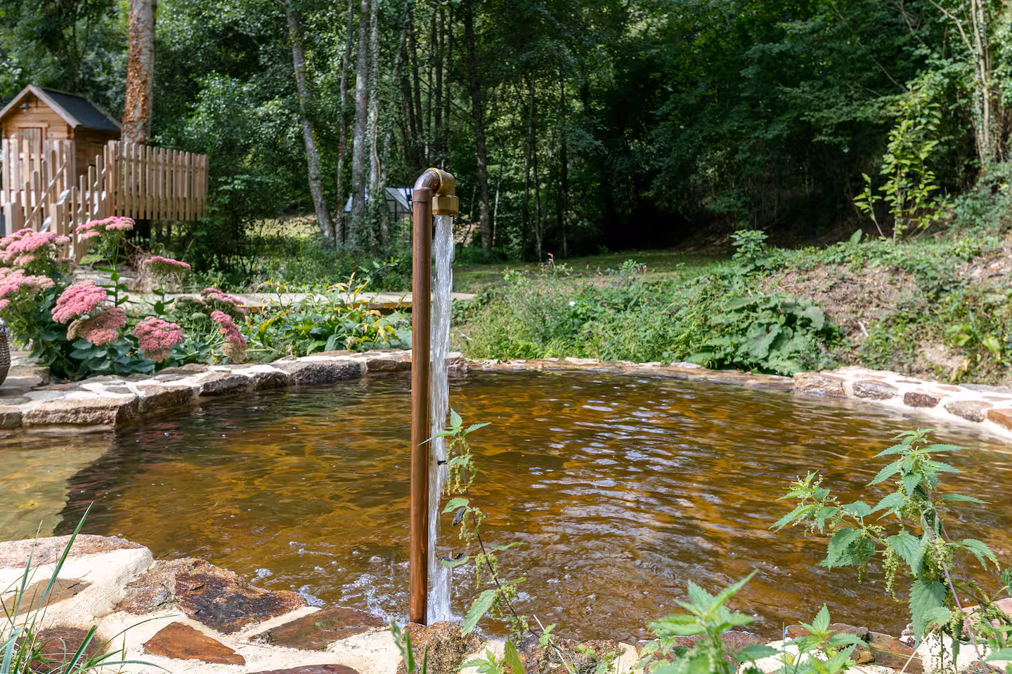 The rock pool